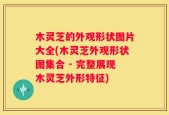 木灵芝的外观形状图片大全(木灵芝外观形状图集合 - 完整展现木灵芝外形特征)