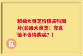 超级大灵芝价值高吗图片(超级大灵芝：究竟值不值得购买？)