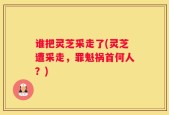 谁把灵芝采走了(灵芝遭采走，罪魁祸首何人？)