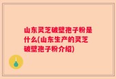 山东灵芝破壁孢子粉是什么(山东生产的灵芝破壁孢子粉介绍)
