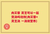 肉苁蓉 灵芝可以一起煲汤吗功效(肉苁蓉+灵芝汤 一汤双营养)