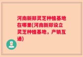 河南新郑灵芝种植基地在哪里(河南新郑设立灵芝种植基地，产销互通)
