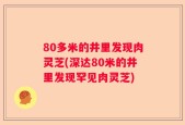 80多米的井里发现肉灵芝(深达80米的井里发现罕见肉灵芝)