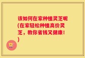 该如何在家种植灵芝呢(在家轻松种植高价灵芝，教你省钱又健康！)