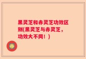 黑灵芝和赤灵芝功效区别(黑灵芝与赤灵芝，功效大不同！)