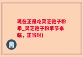 现在正是吃灵芝孢子粉季_灵芝孢子粉季节来临，正当时)