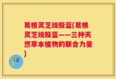 葛根灵芝绞股蓝(葛根灵芝绞股蓝——三种天然草本植物的联合力量)