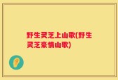 野生灵芝上山歌(野生灵芝豪情山歌)
