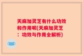 天麻加灵芝有什么功效和作用呢(天麻加灵芝：功效与作用全解析)