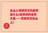 去山上采摘灵芝的感受是什么(感受到的自然之美——采摘灵芝在山上)