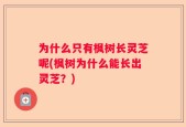 为什么只有枫树长灵芝呢(枫树为什么能长出灵芝？)