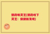 鹦鹉啃灵芝(鹦鹉咬下灵芝：保健新发现)