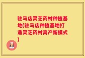驻马店灵芝药材种植基地(驻马店种植基地打造灵芝药材高产新模式)