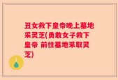 丑女救下皇帝晚上墓地采灵芝(勇敢女子救下皇帝 前往墓地采取灵芝)