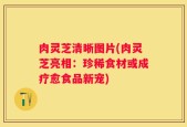 肉灵芝清晰图片(肉灵芝亮相：珍稀食材或成疗愈食品新宠)