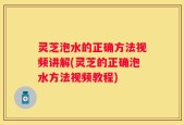 灵芝泡水的正确方法视频讲解(灵芝的正确泡水方法视频教程)