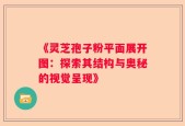 《灵芝孢子粉平面展开图：探索其结构与奥秘的视觉呈现》