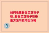 如何收集野生灵芝孢子粉_野生灵芝孢子粉采集方法与技巧全攻略