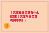 黒灵芝和赤灵芝有什么区别(黒灵芝与赤灵芝有何不同？)