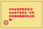 长白山天然紫灵芝(长白山出产紫灵芝，珍贵药材唤醒健康新生命周期)