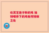 吃灵芝孢子粉的鸡 独特喂养下的鸡有何特别之处