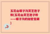 五花山碾子沟灵芝孢子粉(五花山灵芝孢子粉——碾子沟的秘密宝藏)