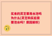 买来的灵芝要用水泡吗为什么(灵芝购买后需要泡水吗？原因解析)