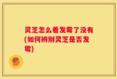 灵芝怎么看发霉了没有(如何辨别灵芝是否发霉)
