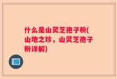 什么是山灵芝孢子粉(山地之珍，山灵芝孢子粉详解)