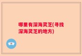 哪里有深海灵芝(寻找深海灵芝的地方)