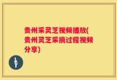 贵州采灵芝视频播放(贵州灵芝采摘过程视频分享)