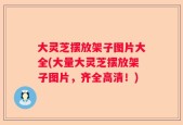 大灵芝摆放架子图片大全(大量大灵芝摆放架子图片，齐全高清！)