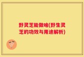野灵芝能做啥(野生灵芝的功效与用途解析)