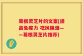 葛根灵芝片的文案(提高免疫力 祛风除湿——葛根灵芝片推荐)