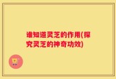谁知道灵芝的作用(探究灵芝的神奇功效)