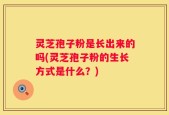 灵芝孢子粉是长出来的吗(灵芝孢子粉的生长方式是什么？)