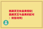 西藏灵芝和桑黄搭配(西藏灵芝与桑黄的配对：双倍功效)