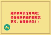 藏药精草灵芝片功效(倍受推崇的藏药精草灵芝片：有哪些功效？)