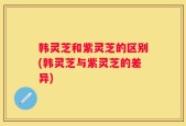 韩灵芝和紫灵芝的区别(韩灵芝与紫灵芝的差异)