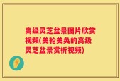 高级灵芝盆景图片欣赏视频(美轮美奂的高级灵芝盆景赏析视频)