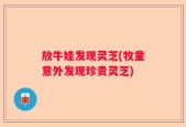 放牛娃发现灵芝(牧童意外发现珍贵灵芝)
