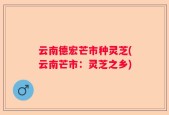 云南德宏芒市种灵芝(云南芒市：灵芝之乡)