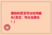 摆放的灵芝可以吃吗图片(灵芝：可以当菜吃！)