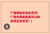 广西哪能买到赤灵芝(广西有哪些渠道可以购买纯正赤灵芝？)