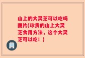 山上的大灵芝可以吃吗图片(珍贵的山上大灵芝食用方法，这个大灵芝可以吃！)