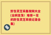 野生灵芝采集视频大全(全网首发！难得一见的野生灵芝采摘记录合集)