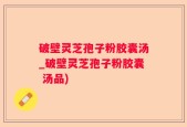 破壁灵芝孢子粉胶囊汤_破壁灵芝孢子粉胶囊 汤品)