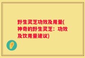 野生灵芝功效及用量(神奇的野生灵芝：功效及饮用量建议)