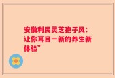 安徽利民灵芝孢子风：让你耳目一新的养生新体验”