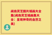 闽南灵芝图片插画大全集(闽南灵芝插画集大全：呈现神奇的自然之美)